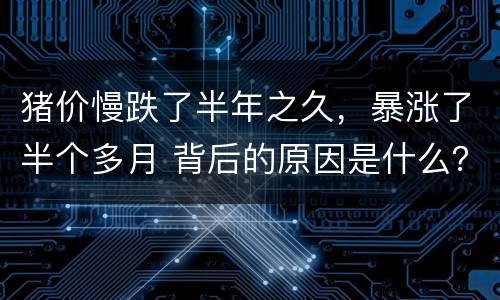 猪价慢跌了半年之久，暴涨了半个多月 背后的原因是什么？