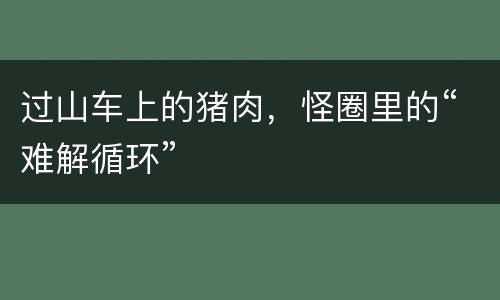 过山车上的猪肉，怪圈里的“难解循环”