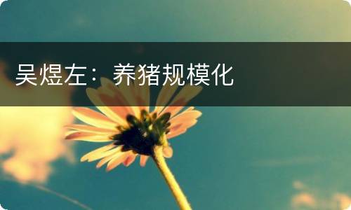 吴煜左：养猪规模化