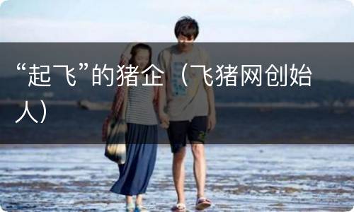 “起飞”的猪企（飞猪网创始人）