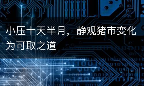 小压十天半月，静观猪市变化为可取之道