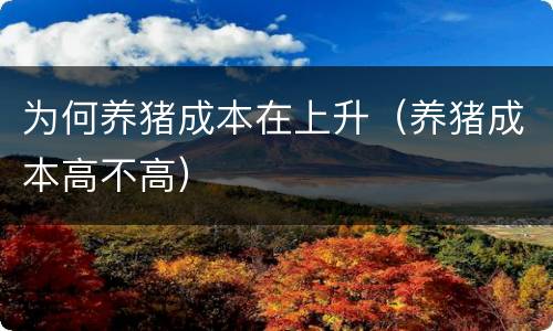 为何养猪成本在上升（养猪成本高不高）