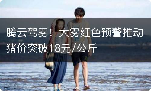 腾云驾雾！大雾红色预警推动猪价突破18元/公斤