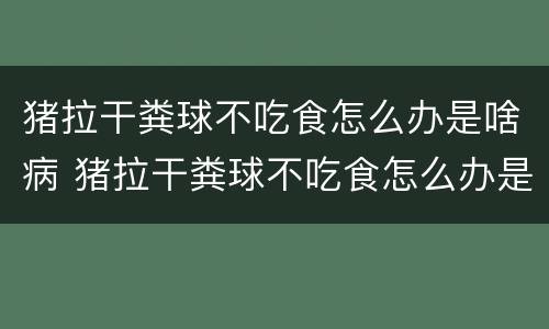 猪拉干粪球不吃食怎么办是啥病 猪拉干粪球不吃食怎么办是啥病会传染吗
