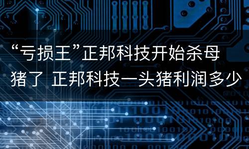 “亏损王”正邦科技开始杀母猪了 正邦科技一头猪利润多少
