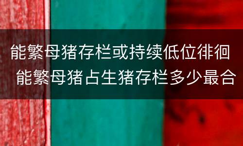 能繁母猪存栏或持续低位徘徊 能繁母猪占生猪存栏多少最合理