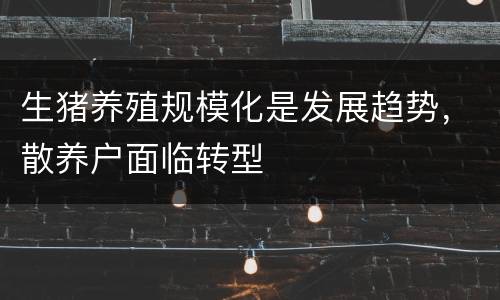 生猪养殖规模化是发展趋势，散养户面临转型