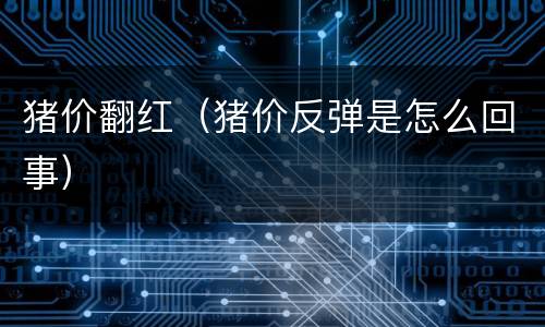 猪价翻红（猪价反弹是怎么回事）