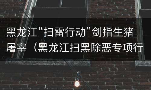 黑龙江“扫雷行动”剑指生猪屠宰（黑龙江扫黑除恶专项行动）