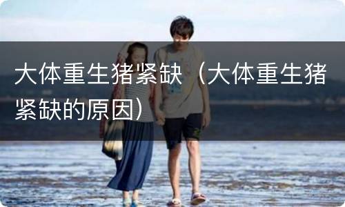 大体重生猪紧缺（大体重生猪紧缺的原因）