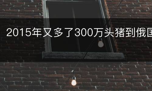 2015年又多了300万头猪到俄国