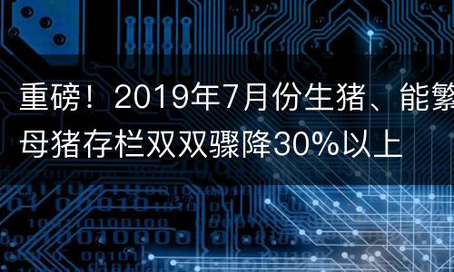 重磅！2019年7月份生猪、能繁母猪存栏双双骤降30%以上