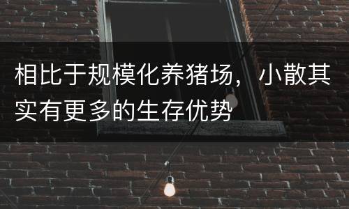 相比于规模化养猪场，小散其实有更多的生存优势