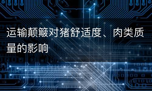 运输颠簸对猪舒适度、肉类质量的影响