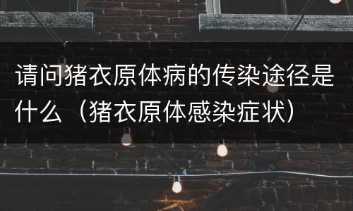 请问猪衣原体病的传染途径是什么（猪衣原体感染症状）
