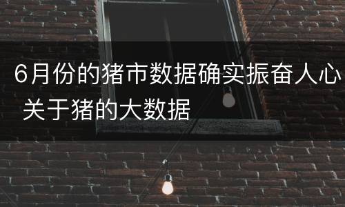 6月份的猪市数据确实振奋人心 关于猪的大数据