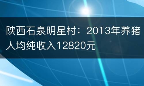 陕西石泉明星村：2013年养猪人均纯收入12820元