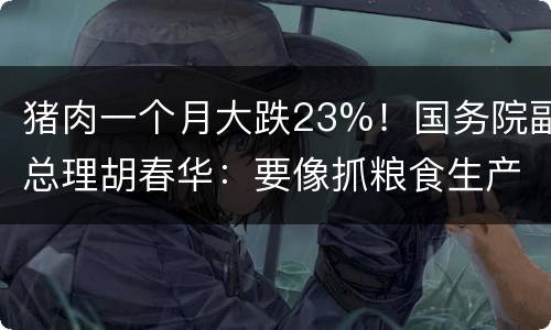 猪肉一个月大跌23%！国务院副总理胡春华：要像抓粮食生产一样抓