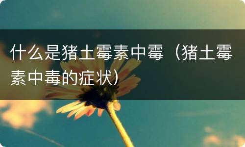 什么是猪土霉素中霉（猪土霉素中毒的症状）