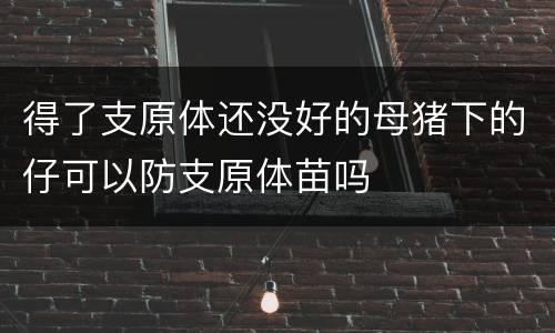 得了支原体还没好的母猪下的仔可以防支原体苗吗