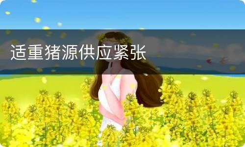 适重猪源供应紧张