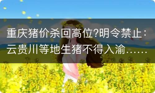 重庆猪价杀回高位?明令禁止：云贵川等地生猪不得入渝……