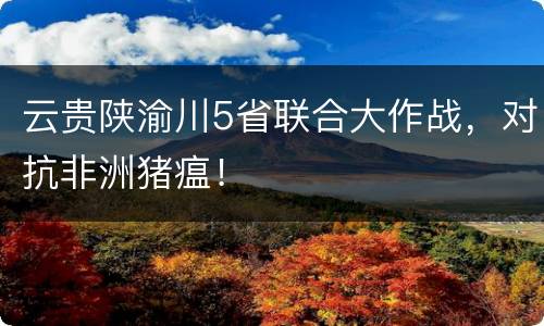 云贵陕渝川5省联合大作战，对抗非洲猪瘟！