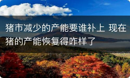 猪市减少的产能要谁补上 现在猪的产能恢复得咋样了