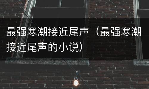 最强寒潮接近尾声（最强寒潮接近尾声的小说）