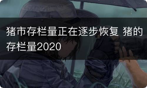 猪市存栏量正在逐步恢复 猪的存栏量2020
