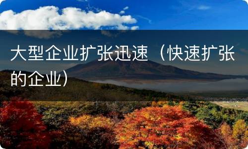 大型企业扩张迅速（快速扩张的企业）