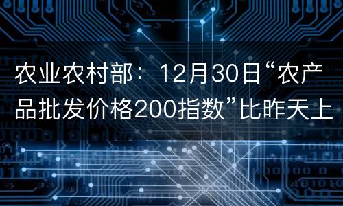 农业农村部：12月30日“农产品批发价格200指数”比昨天上升0.20个