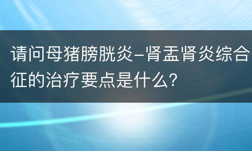 请问母猪膀胱炎-肾盂肾炎综合征的治疗要点是什么？