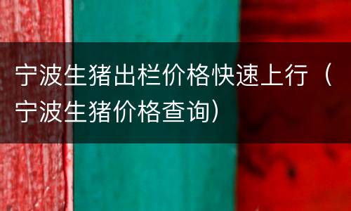宁波生猪出栏价格快速上行（宁波生猪价格查询）