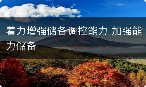 着力增强储备调控能力 加强能力储备