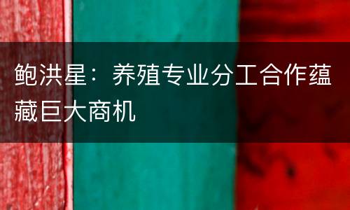 鲍洪星：养殖专业分工合作蕴藏巨大商机