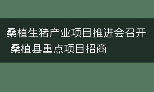 桑植生猪产业项目推进会召开 桑植县重点项目招商