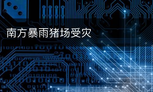 南方暴雨猪场受灾