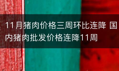11月猪肉价格三周环比连降 国内猪肉批发价格连降11周