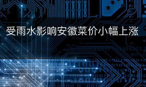 受雨水影响安徽菜价小幅上涨