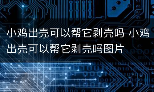 小鸡出壳可以帮它剥壳吗 小鸡出壳可以帮它剥壳吗图片