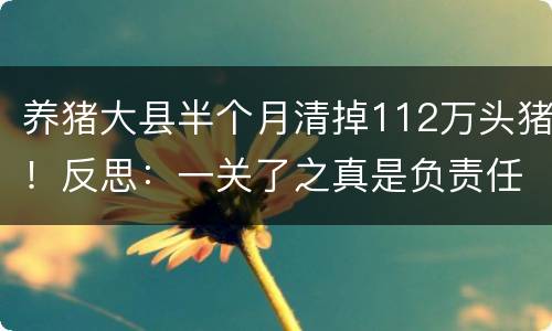 养猪大县半个月清掉112万头猪！反思：一关了之真是负责任？