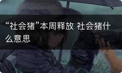 “社会猪”本周释放 社会猪什么意思