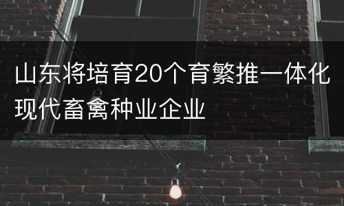 山东将培育20个育繁推一体化现代畜禽种业企业