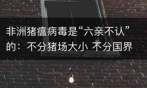 非洲猪瘟病毒是“六亲不认”的：不分猪场大小 不分国界