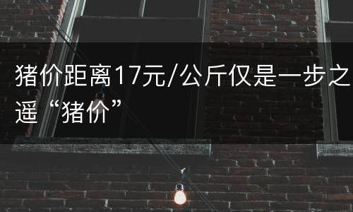 猪价距离17元/公斤仅是一步之遥 “猪价”