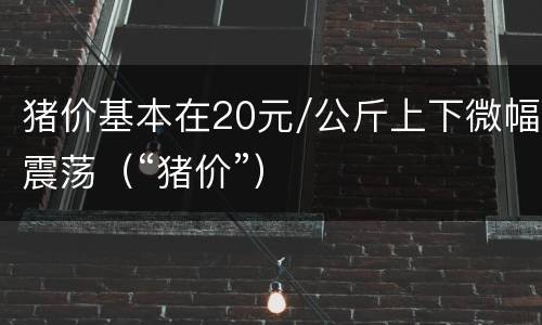 猪价基本在20元/公斤上下微幅震荡（“猪价”）