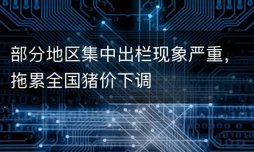 部分地区集中出栏现象严重，拖累全国猪价下调