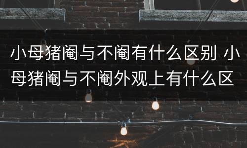 小母猪阉与不阉有什么区别 小母猪阉与不阉外观上有什么区别