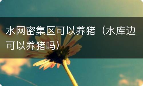 水网密集区可以养猪（水库边可以养猪吗）